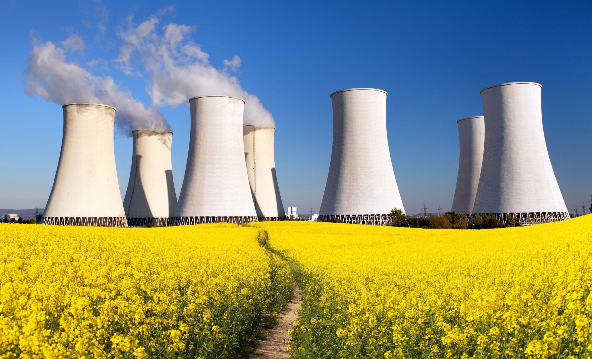 Radiation resistant cables